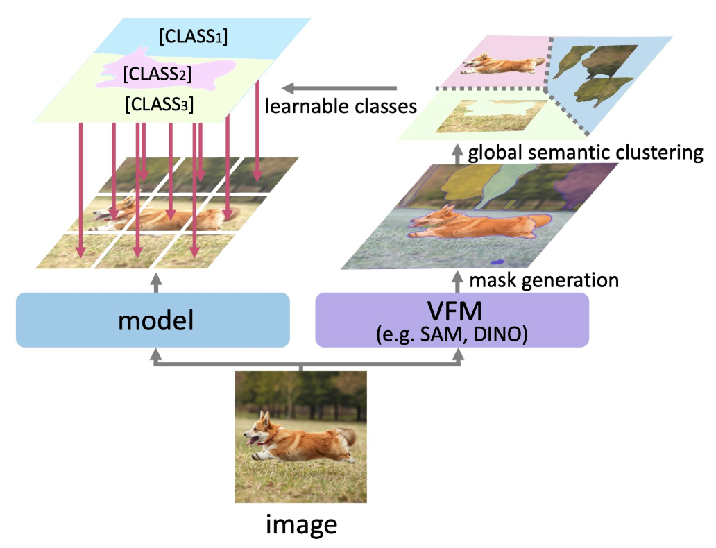 Towards Open-Vocabulary Semantic Segmentation Without Semantic Labels
						